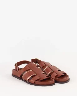 Best Sidi Chaussures